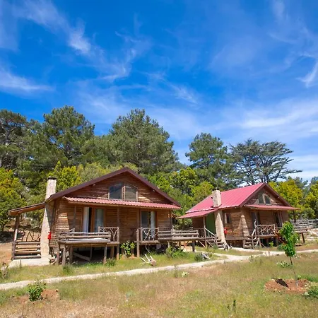 Babakamp Eco Ranch & Retreat Campingplads